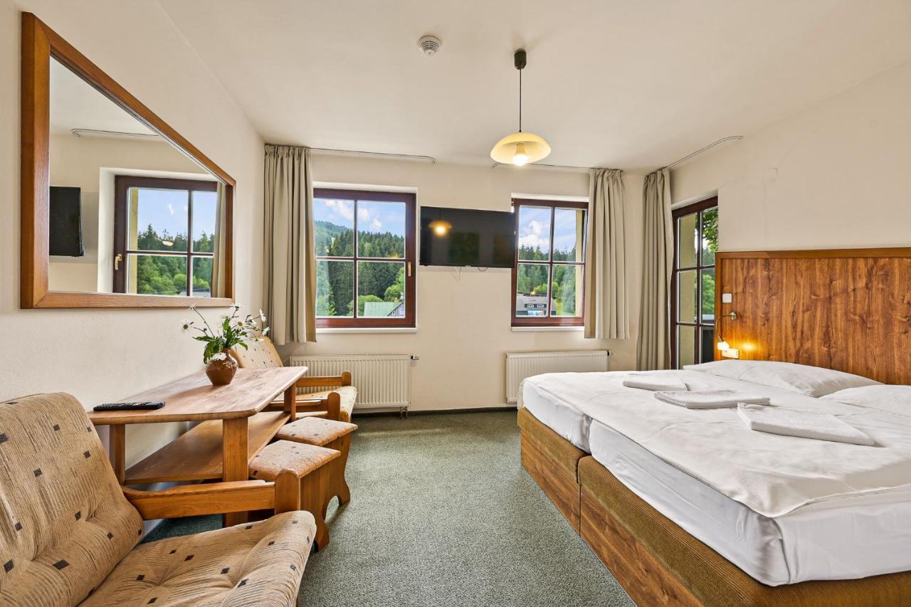 David Wellness 2* Harrachov